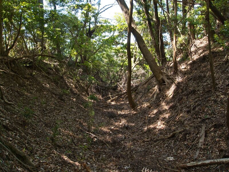 File:Kokururi22.jpg