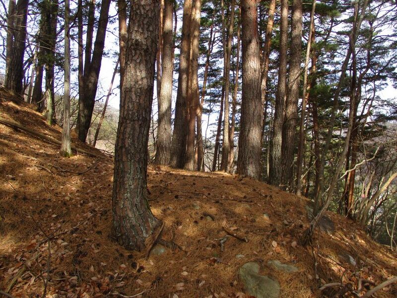 File:OhwatariNoroshidai035.jpg