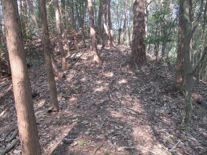 File:Oiwakehikagejou (5).jpg