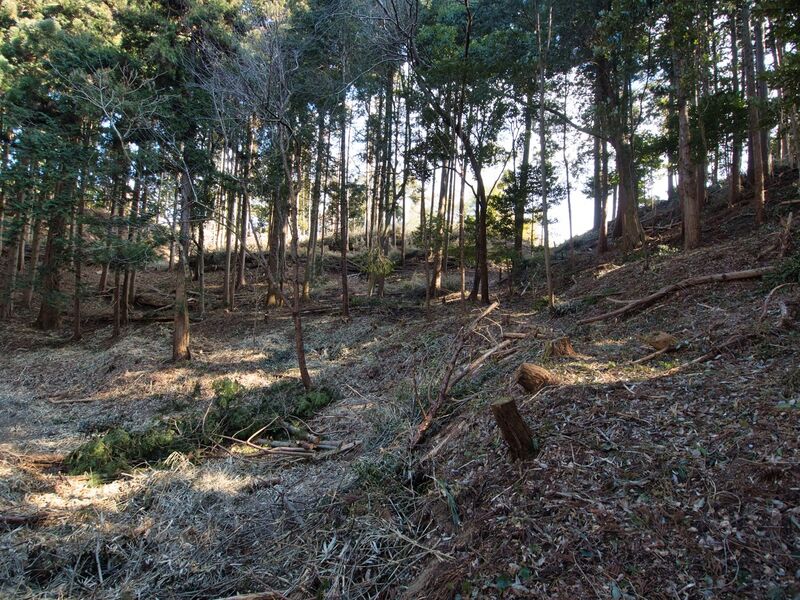 File:Okishikokaiii3.jpg