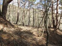 YabuharaToride (7).JPG