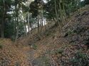 Eboshigata55.jpg