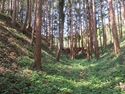 Ishigami (2).JPG