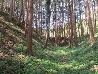 Ishigami (2).JPG