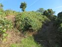 KitaKumai (33).JPG