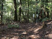 Kogaminekyoto11.jpg