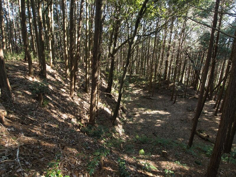 File:Kokashingushi23.jpg