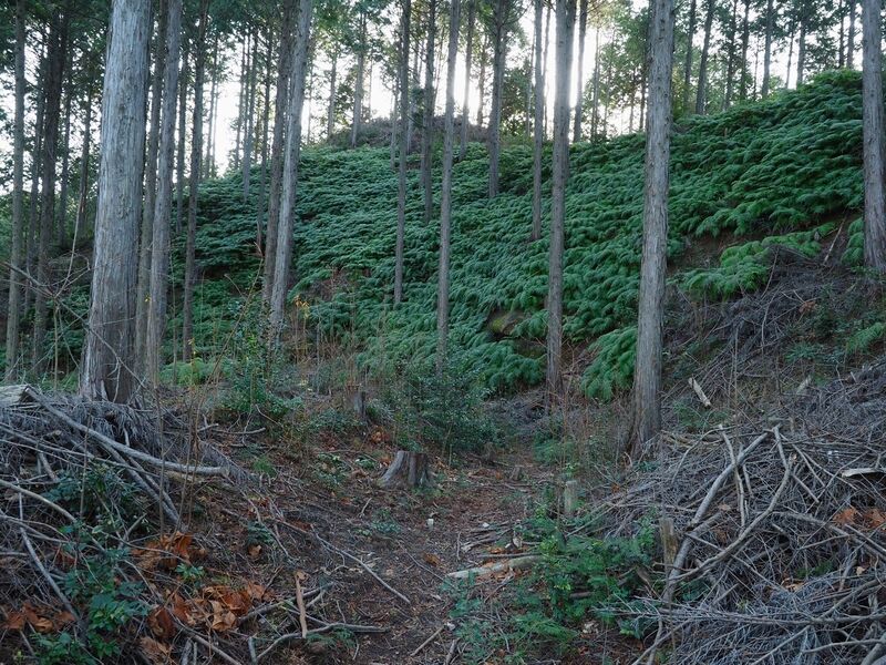 File:Matsudairajo24.jpg