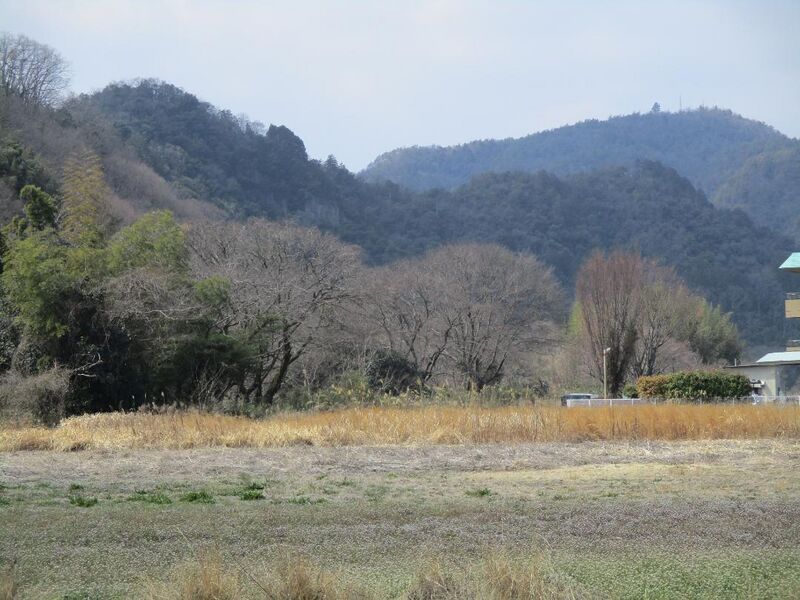 File:MinoDotajou006.jpg