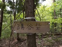 Mizotanishizu4.jpg