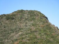 NagatoKatsuyamajou02.2.JPG