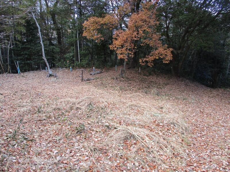File:NishiSakabejou007.jpg