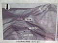 Thumbnail for version as of 14:33, 9 November 2022