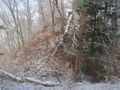 Thumbnail for version as of 19:34, 13 January 2021
