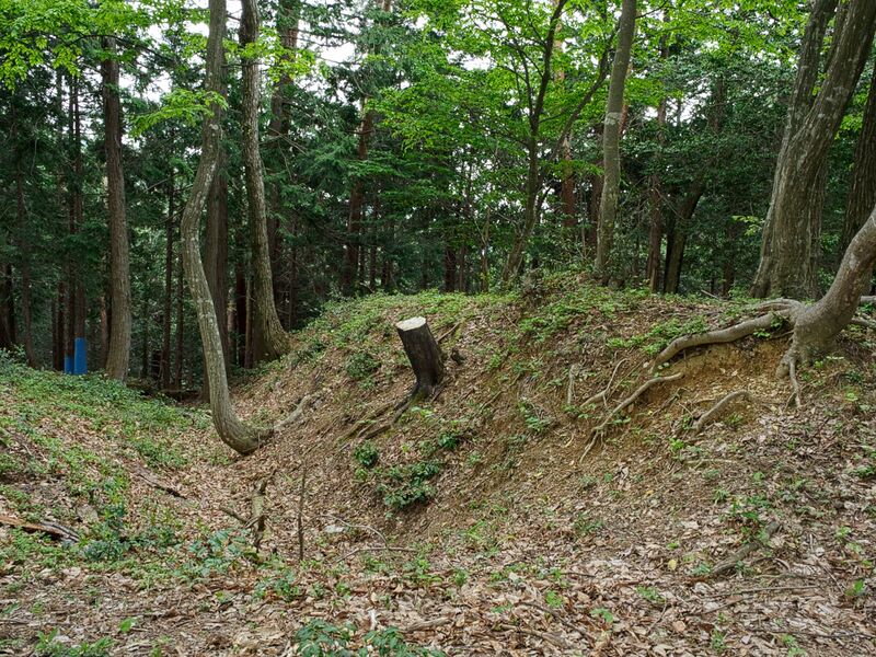 File:Tagamiyama34.jpg
