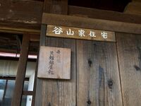Taniyamahikone2.jpg