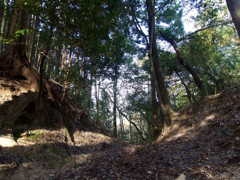 File:Yoshidakoriyama24.jpg