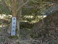 Thumbnail for version as of 08:03, 28 May 2023