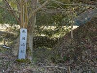 Ayukawa2.jpg