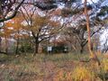 Thumbnail for version as of 13:05, 19 January 2022