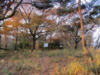 EchigoKatsuyamajou (18).JPG
