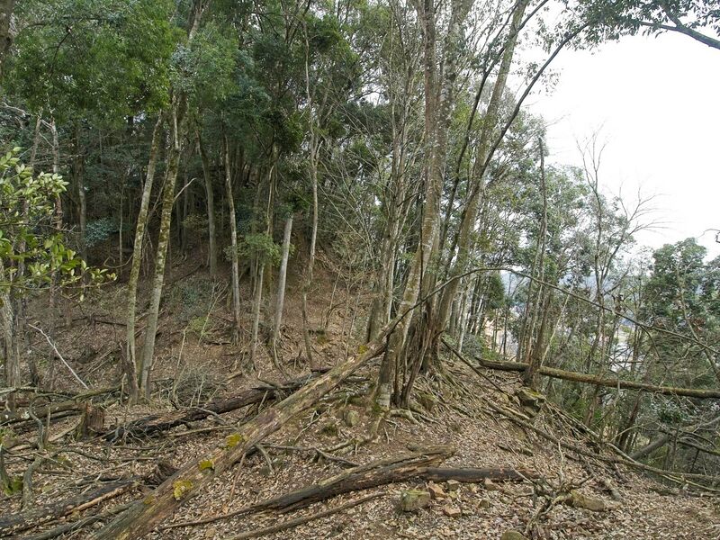 File:Goryu44.jpg