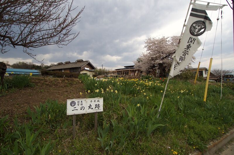 File:Hirai1.jpg