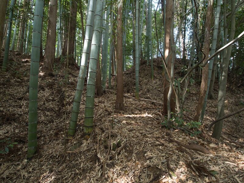 File:Mochizukishikoka22.jpg