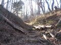 Thumbnail for version as of 07:16, 29 April 2020