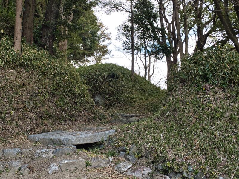 File:Tamaru2025 6.jpg