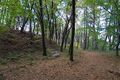 Thumbnail for version as of 13:24, 24 June 2017