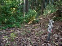 Higashigoma17.jpg