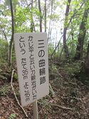 Hikijou (6).JPG