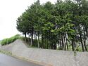 InaOhniwajou (2).JPG
