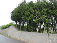 InaOhniwajou (2).JPG