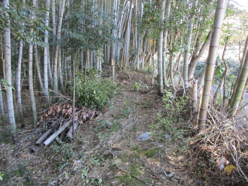 File:IseIchibajou009.jpg