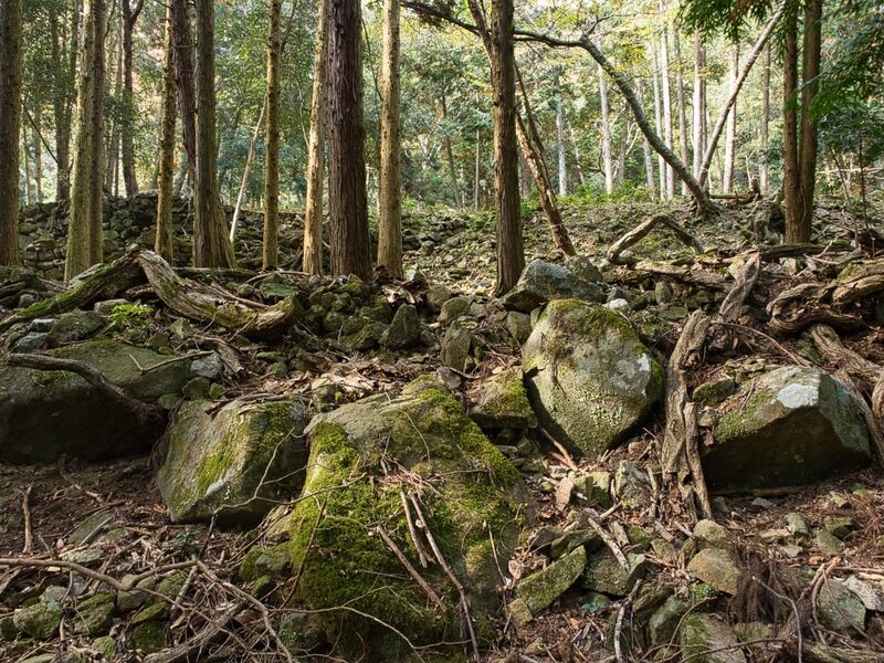 File:Kohyama31.jpg