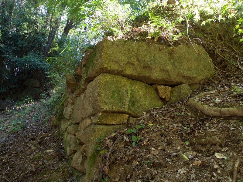 File:Niitakayama39.jpg