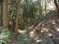 Tsuchiyamakoka10.jpg