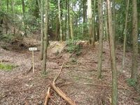 BingoKouyamajou (11).JPG