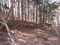 ChiisagataNakanojou (3).JPG