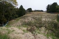 Kawamura25.jpg