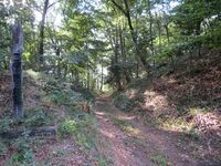 KitaKumai (64).JPG