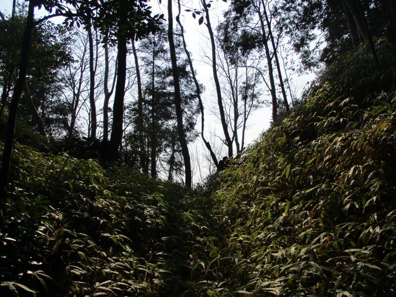 File:Nakanomiyamajou012.jpg