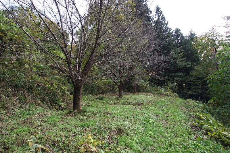 File:Narisawa14.jpg