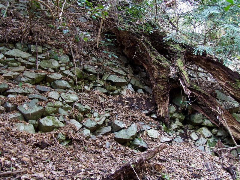 File:Takatori101.jpg
