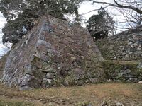 Tamaru2025 15.jpg