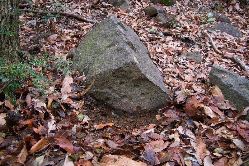 File:Usami hanareyama14.jpg