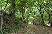 Yamagami5.jpg