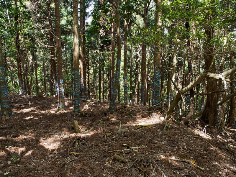 File:Dogiyama32.jpg